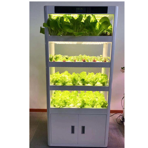 Accponic Hydro Indoor Complete Hydroponic System