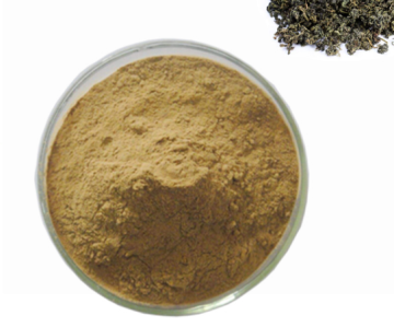 Supplement 98% Jiaogulan Gynostemma Pentaphyllum Extract