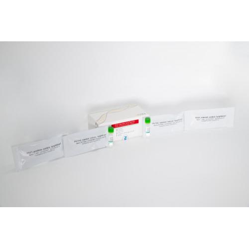 PIV1 Nucleic Acid Test Kit (PCR- fluorescence probe method)