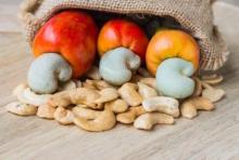 Best price cashew nut kernel