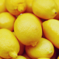 Νέα καλλιέργεια φρέσκα φρούτα λεμονιού χονδρική τιμή