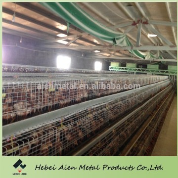 little chick breeding cage