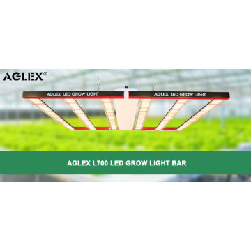 Led week fruit aardbei groeit licht volledig spectrum