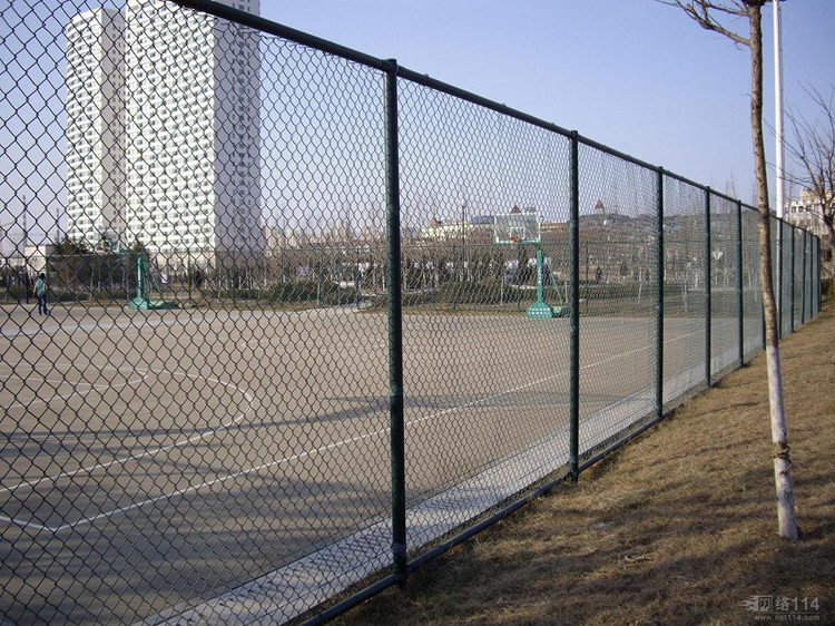 chain link fence (6)