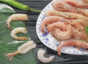 Fresh frozen sand shrimp