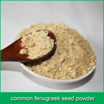 common fenugreek seed powder