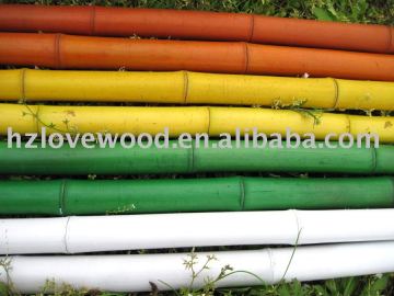 Bamboo Pole Coloured