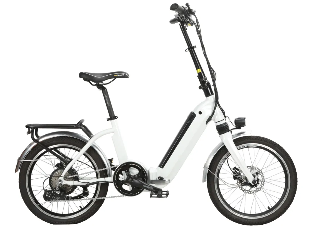 20 Inch Lithium Battery Folding Electric Bicycle with Metal Fenders