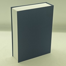 Big storage Hidden Secret Diversion Dictionary Book Safe
