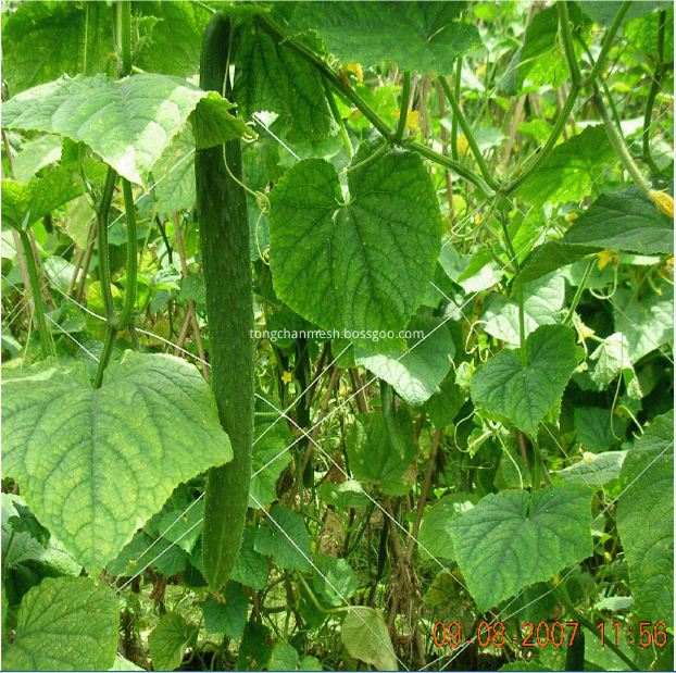 Soporte de planta de jardín enrejado neto