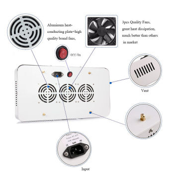 Beliebteste 2000W LED wachsen Lichter