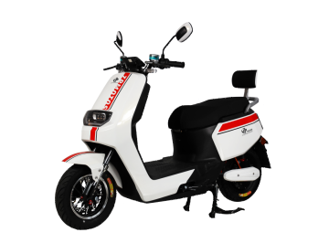 Electric Scooters ZP20L 2500W