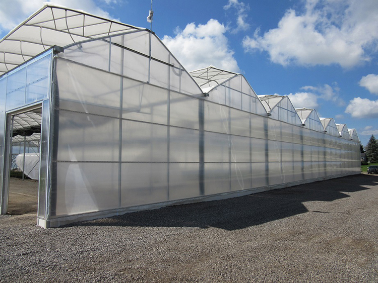 Poly multi span Greenhouse film greenhouse flower greenhouse