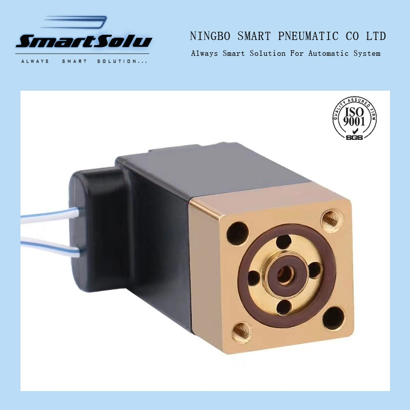 Customized Brass Stainless Steel Plastic OEM Solenoid Valve