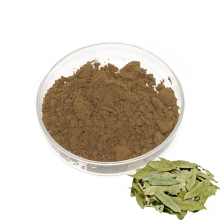 Wholesale senna leaf extract powder