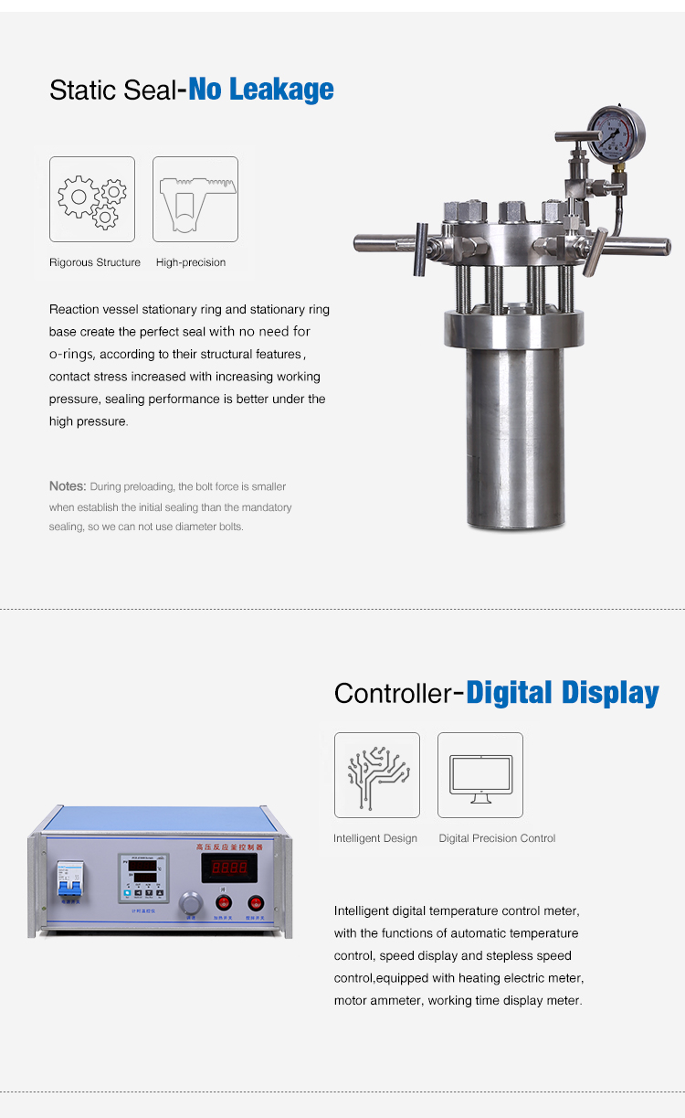 Chemical Without Lifting High Pressure Reactor