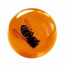 Round acrylic crafts block with insects embedment for school teaching