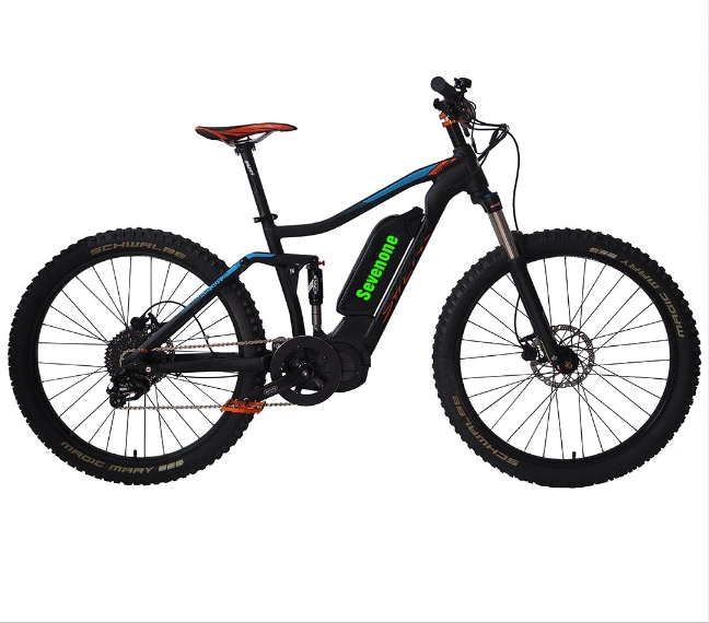 Big Power Middle Motor Adult Mountain Electric Bicycle with Full Suspension En 15194