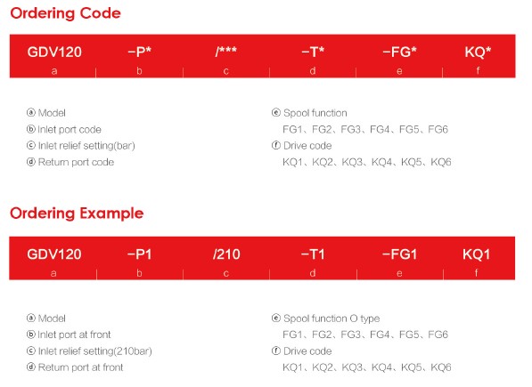 Ordering Code@Example