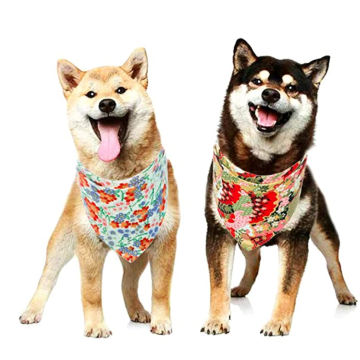 Dog Bandana satt 4 st