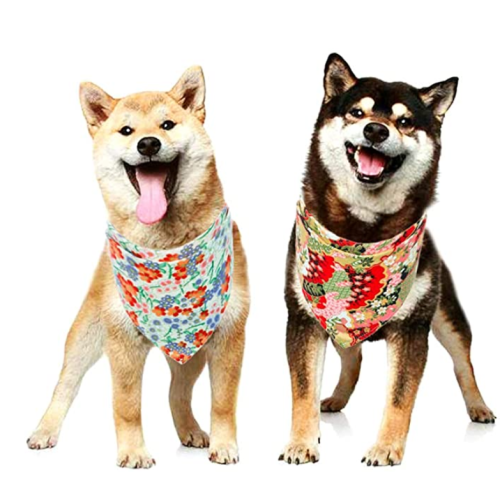 Chien bandana ensemble 4 pcs