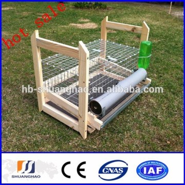 2014 new!!! cheap quail cage/Quail Farming (manufactory)