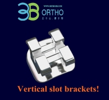 Mini Roth Vertical- Slot Bracket