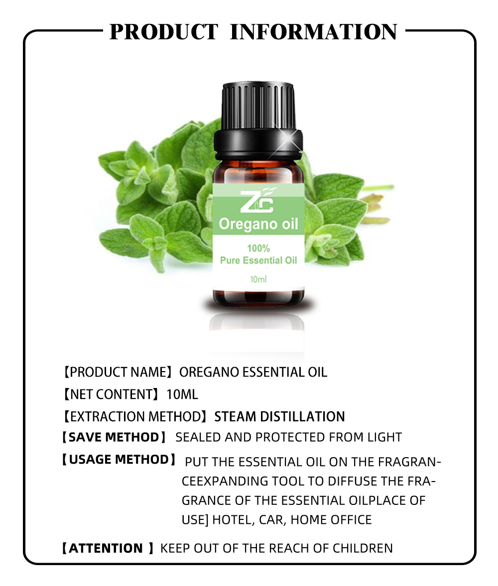 Top Quality Pure Oregano Oil for Nail and Skin