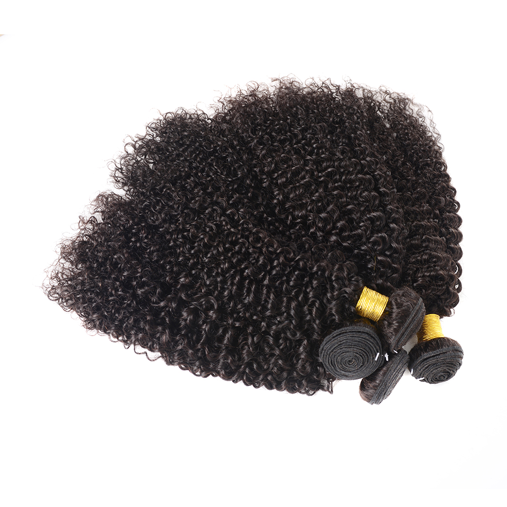 curly virgin burmese curly remy human hair bundles jerry curly mongolian kinky curly hair jerry curl human hair for women