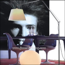 Breif Fashion Folding Floor Lamp / Office Standing Lamp (F-2178-1)