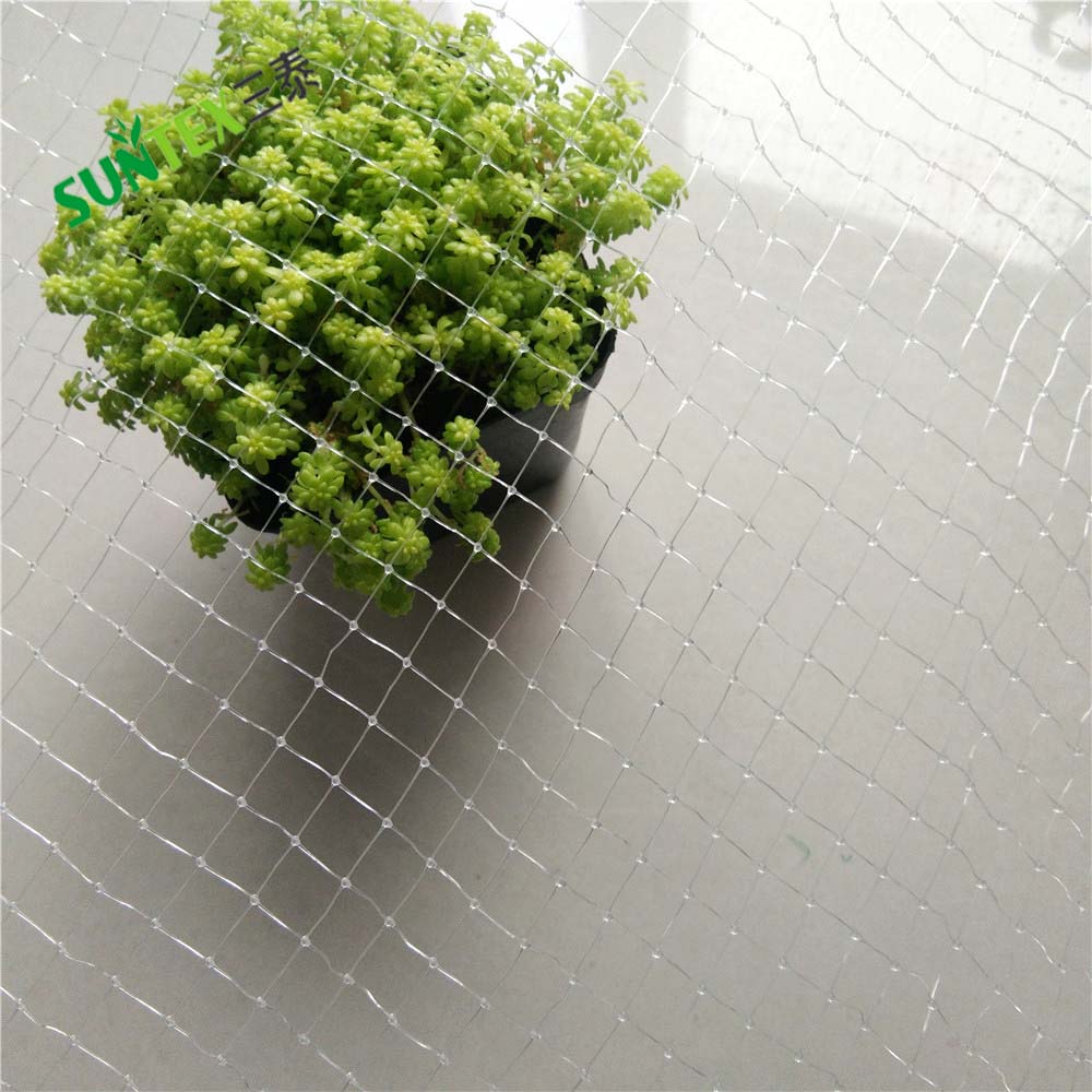 Plastikquadrat Mesh Pond Net