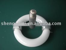 LVD Electromagetic Induction lamp E27/40