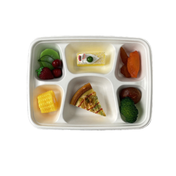 100% Good Quality Sugarcane 6-Grid Lunch Trays