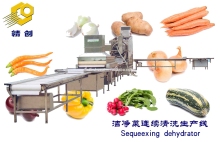 Ginger Washing Line/Vegetable Washing Machine Line
