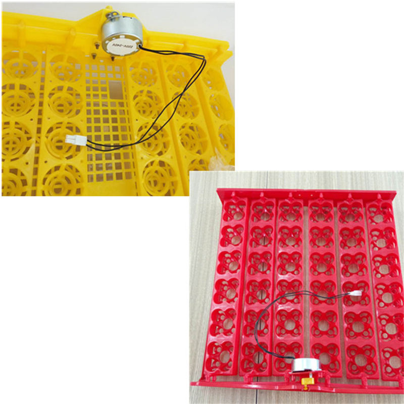 High Capacity Egg Tray Incubator With Sturdy