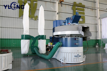 shandong yulong 2 tons per hour pellets machine