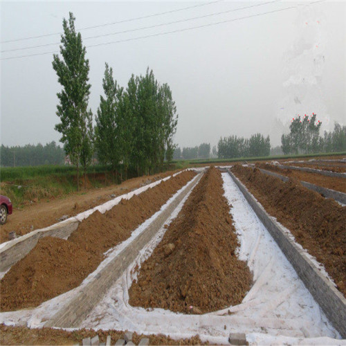 Agriculture géotextile en polyester non tissée bon marché