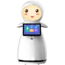 Smart Intelligent Humanoid Robots for Schools by Robotic Manufacturer