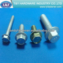 Hex Flange Bolt M16