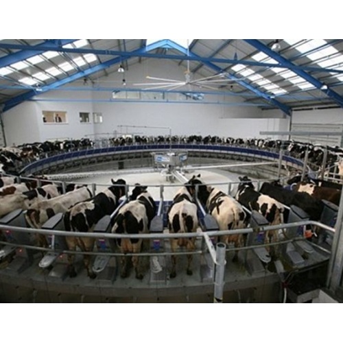 Automatic Cow Or Goat Milking Parlor Price