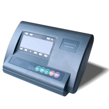 A12 Platform Floor Scale Indicator