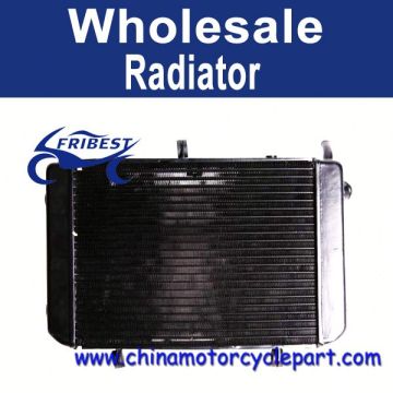 2004-2010 For Suzuki GSR 400 GSR 600 Brand New Radiator Cooler FRDSU014
