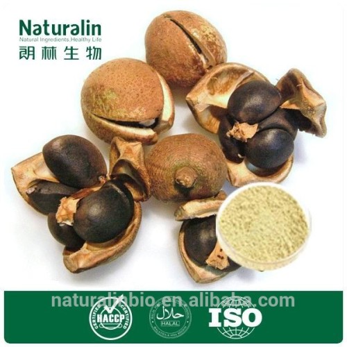 tea extract saponin/tea saponin powder/tea seed saponin powder