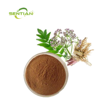 High Quality Valerian Root Extract