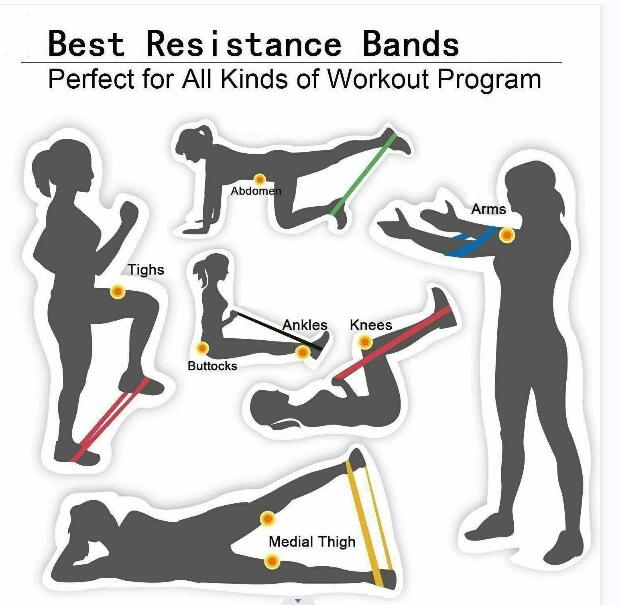 Resistance Band Workout Program Jpg