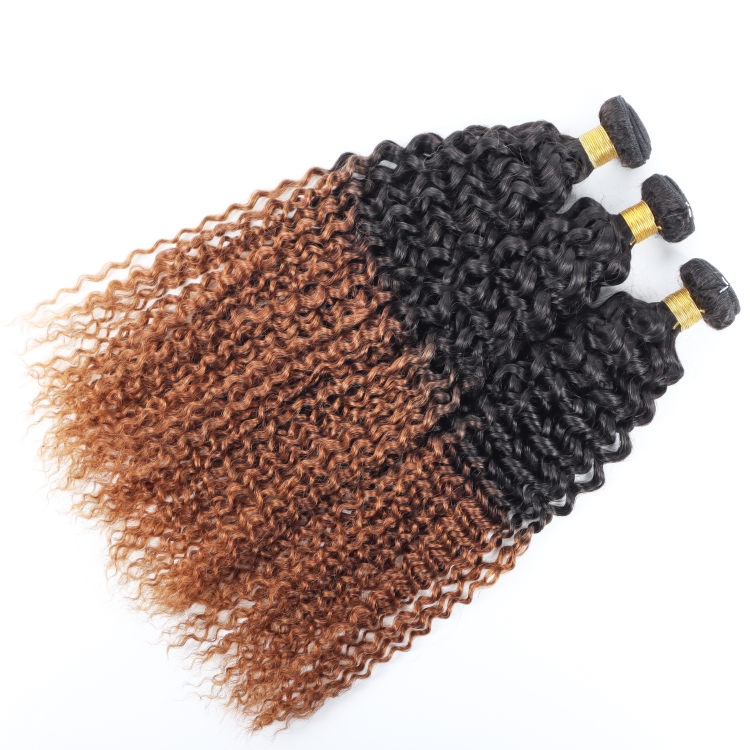 T1b/30 Color Jerry Curly Brazilian Hair Bundles With Closure Vendors Cuticle Aligned Virgin Human Hair Wholesales Extension