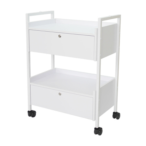 Salon Trolley Hair Storage Cart