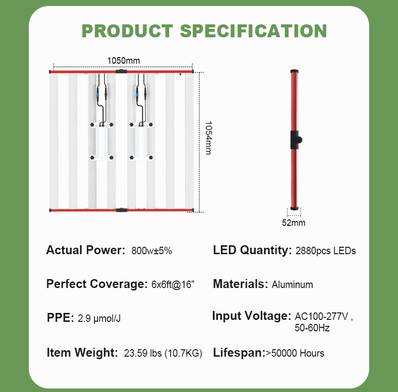 Czerwona LED Light Light Light 800 W z ROHS