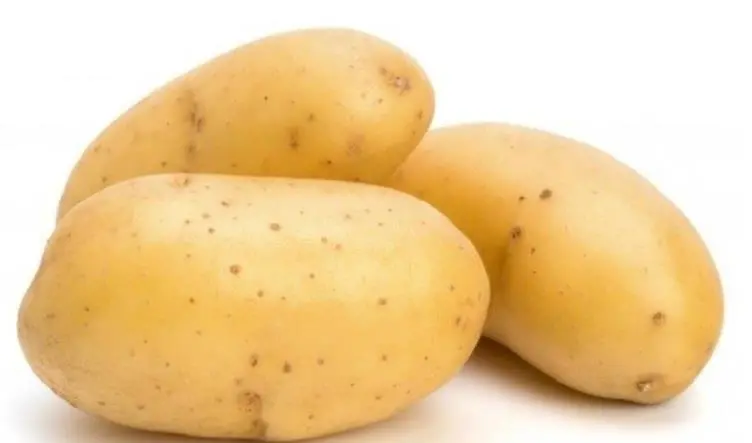 New Harvest Fresh Potato From China Wholesale