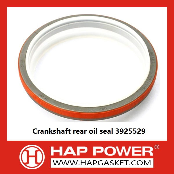 HAP-CS-OS-019 Crankshaft rear oil seal 3925529